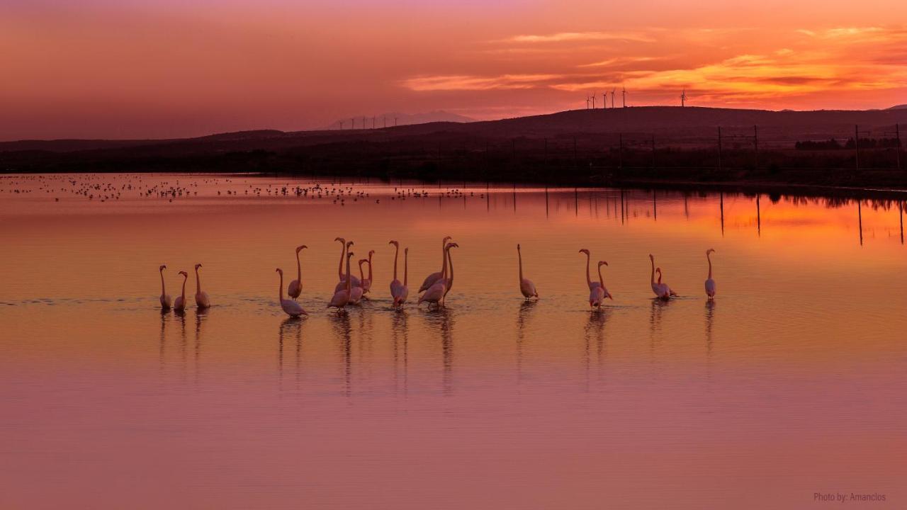 Отель Viglamo Domaine Presqu'Ile De La Franqui Лёкат Экстерьер фото